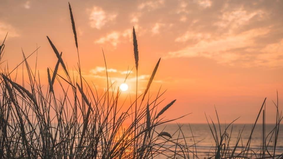 Duinendaele 232 Met Sauna Bij Plopsaland En Natuurreservaat 德帕内 外观 照片